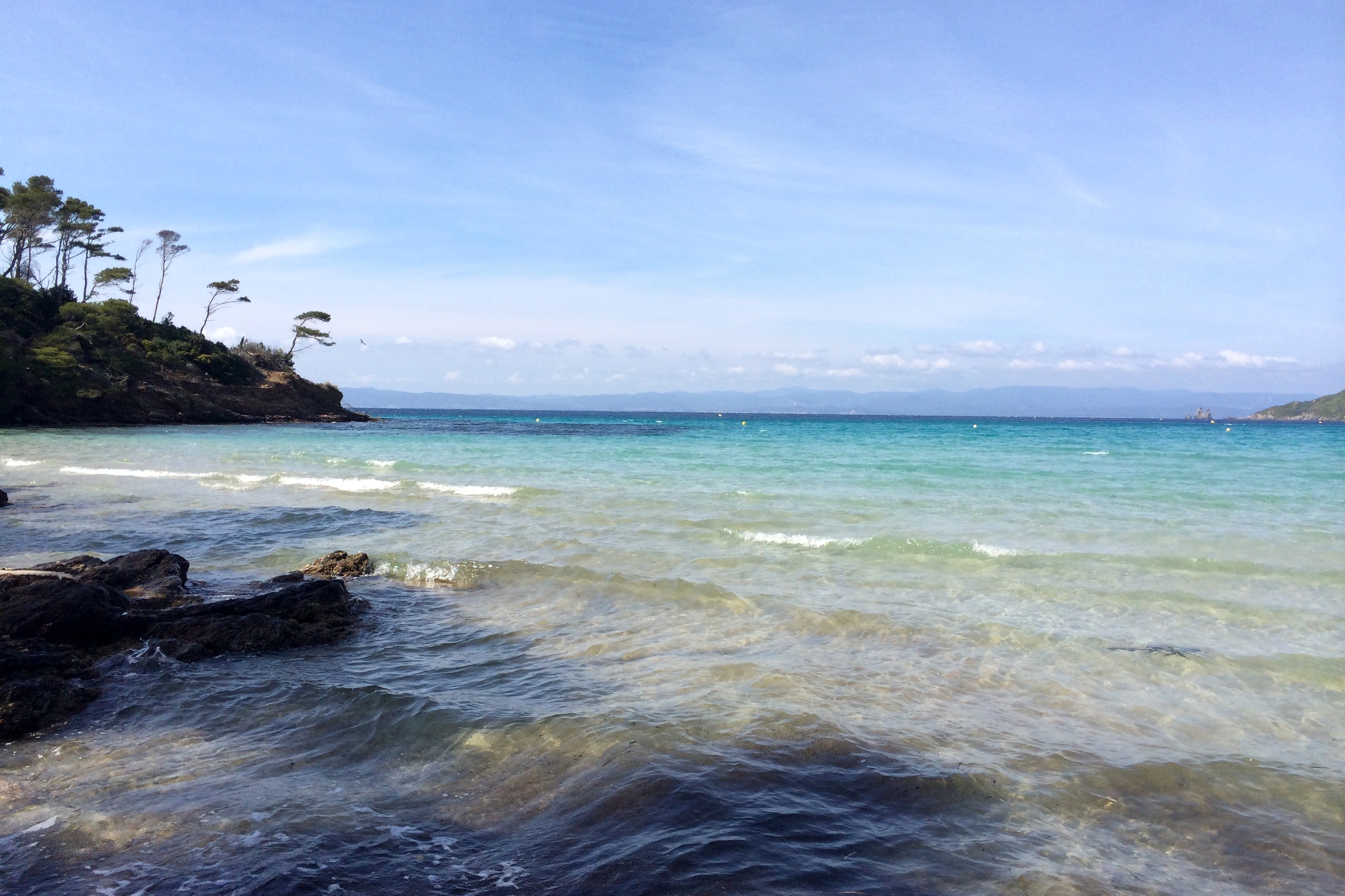 越過海峽後的沙灘與松林
