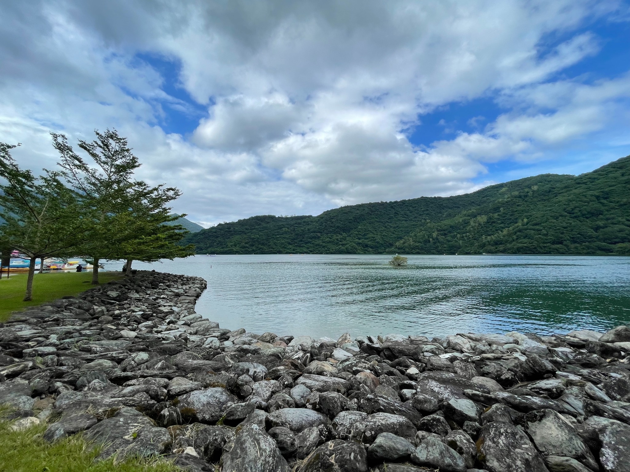 鯉魚潭湖岸石頭與樹影