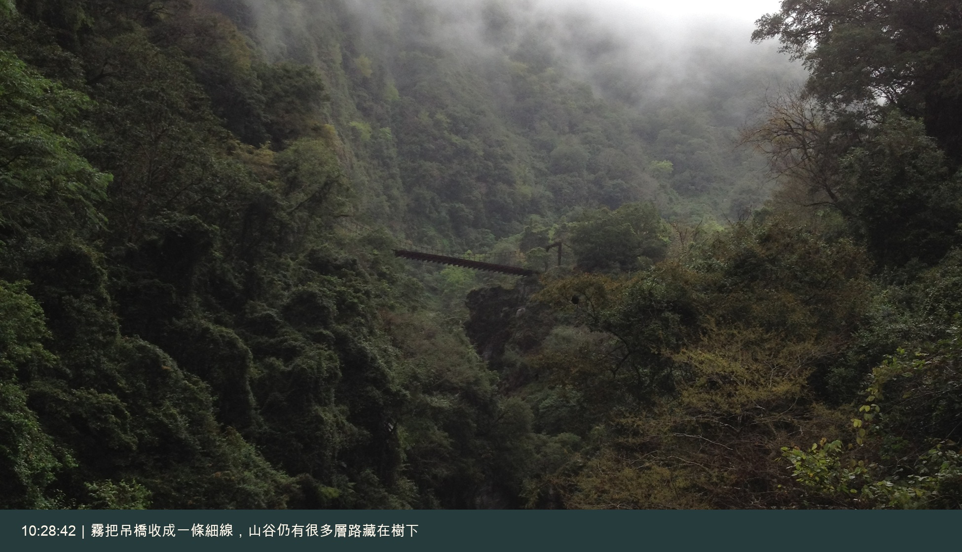 霧中吊橋